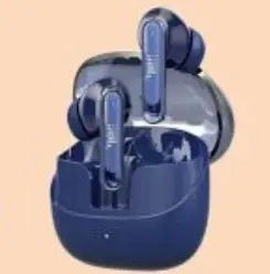 JBL In-ear Earphones