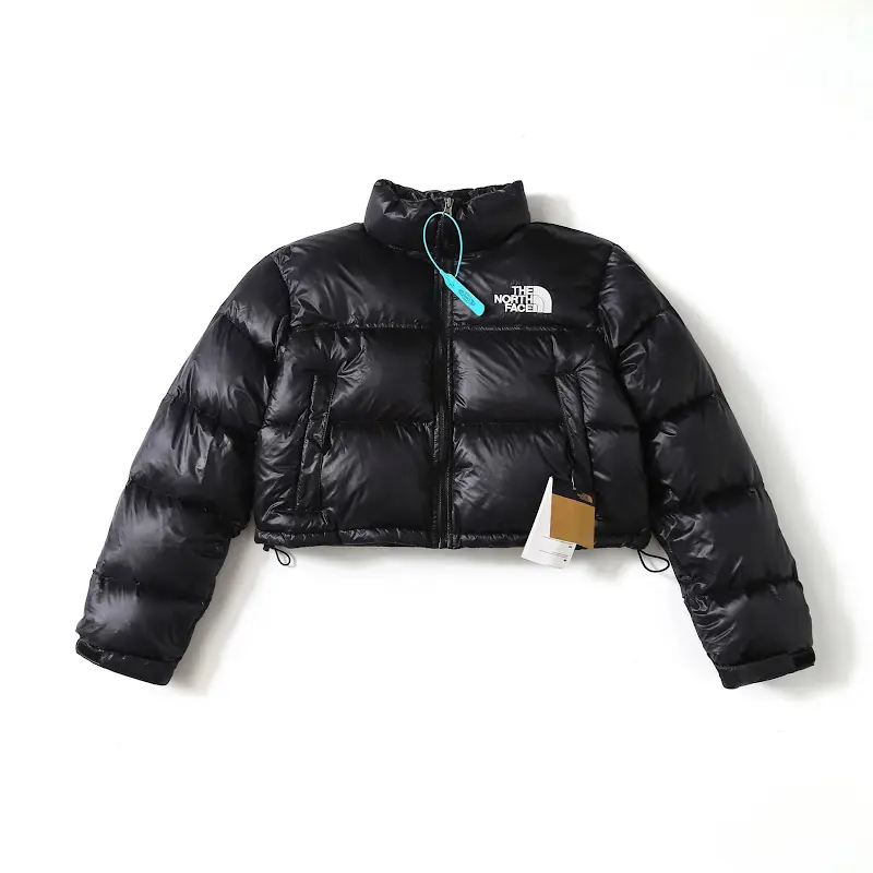 THE NORTH FACE NUPTSE Down Jackets 2 colorways