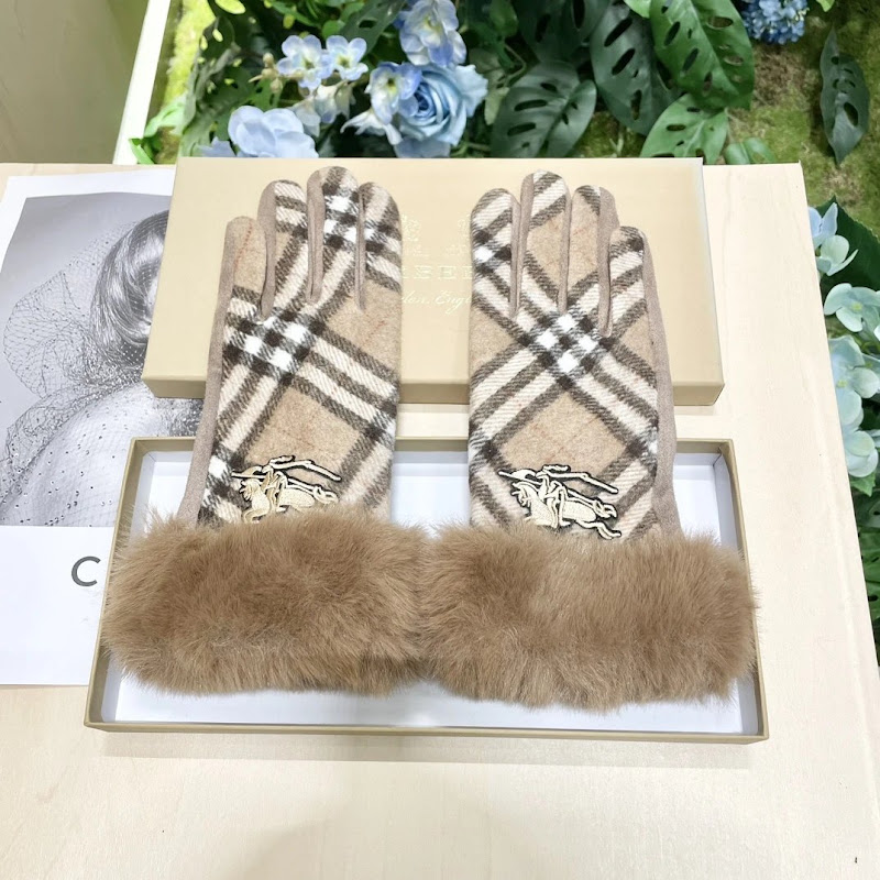 Burberry Gloves