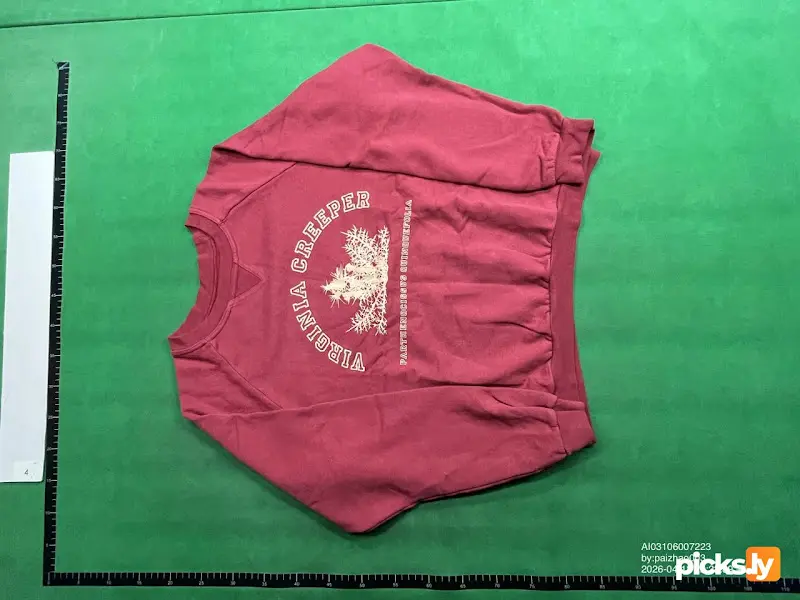 Raf Simons Virginia Creeper Sweater