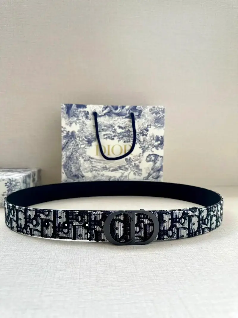 Dior Belt(15+ Colourways)